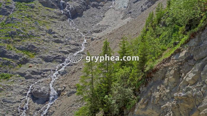 Torrent glaciaire Glacier des Bossons - gryphea.org
